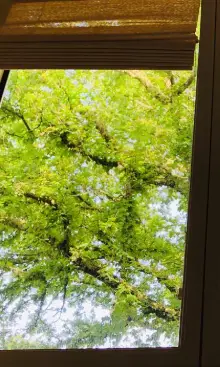 before window 2