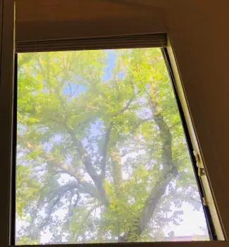 before window 3